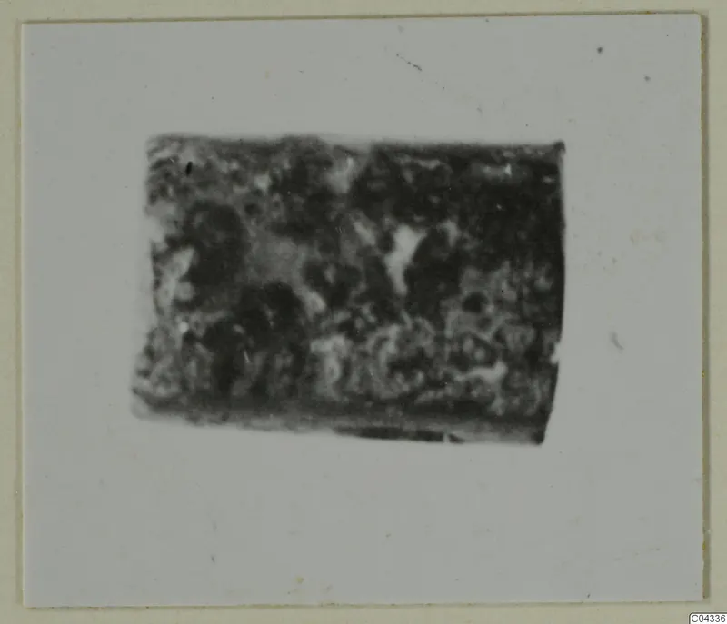 Blurred close-up of a dark, pitted object, shown as a photograph mounted on a pale card