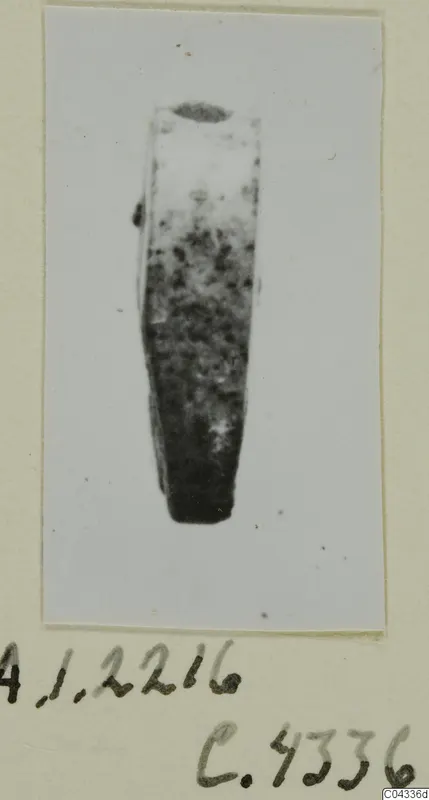 Small glyptic object, tapering with dark mottling and a dark oval at the top, shown on a card mount.
