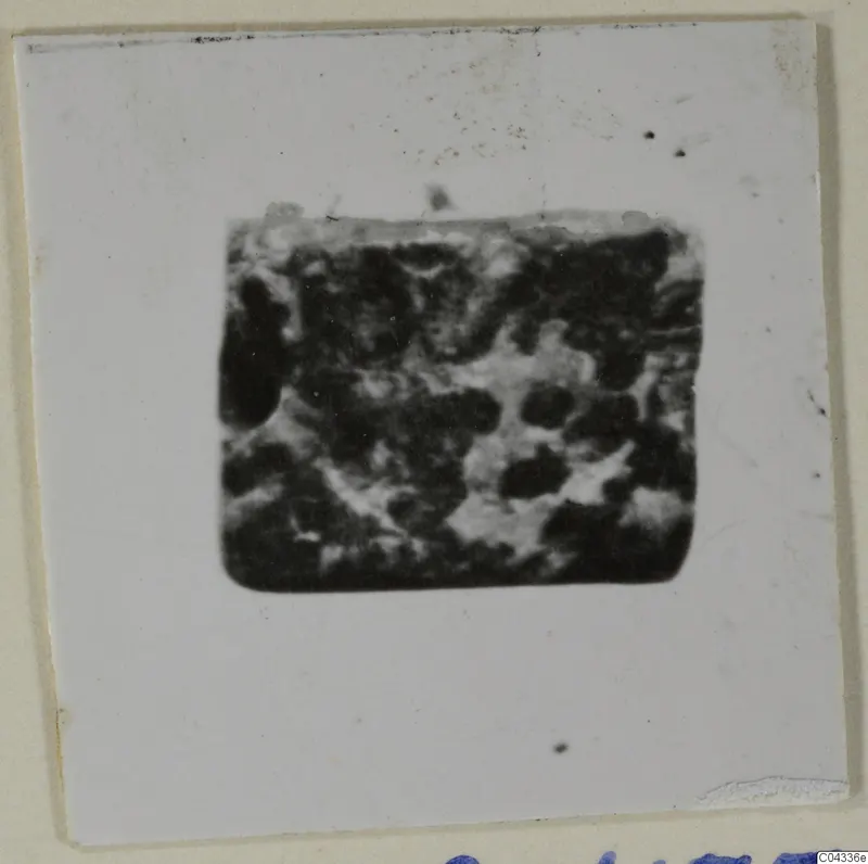 Blurred photograph of a stone object, mounted on a white card.