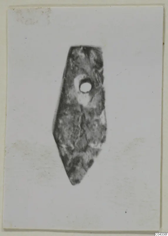 Flat pointed stone object with a drilled hole near its upper end, photographed against a pale background