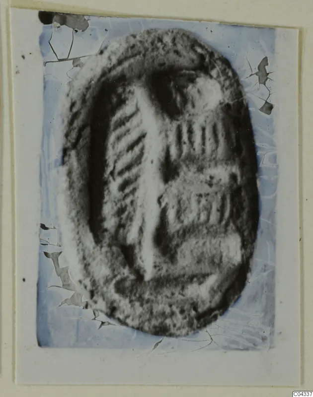 Oval glyptic object, a seal or gem from Ayia Irini, with incised lines, shown enlarged on a card mount