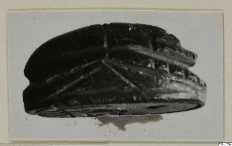 Scarab seal shown in side view, photographed on a mounted card