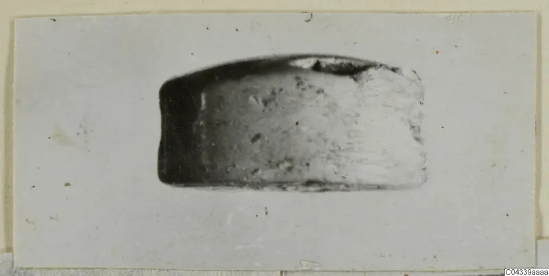 Small stone object titled Glyptic, seen from one side on a pale card mount