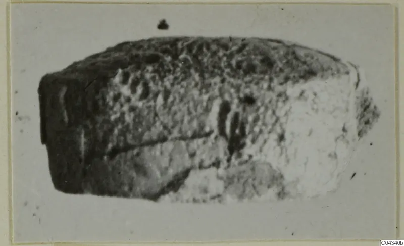 Stone glyptic object from Ayia Irini with a pitted surface and a darker end, seen against a pale background