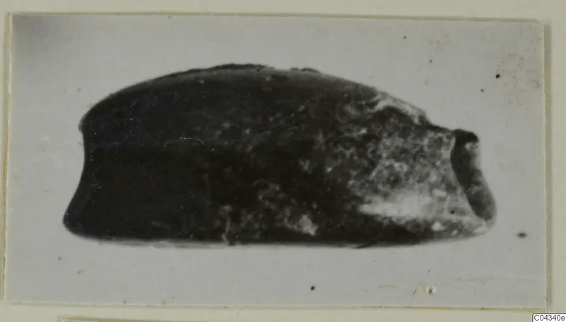 Glyptic find from Ayia Irini: a dark stone seal or gem seen from the side