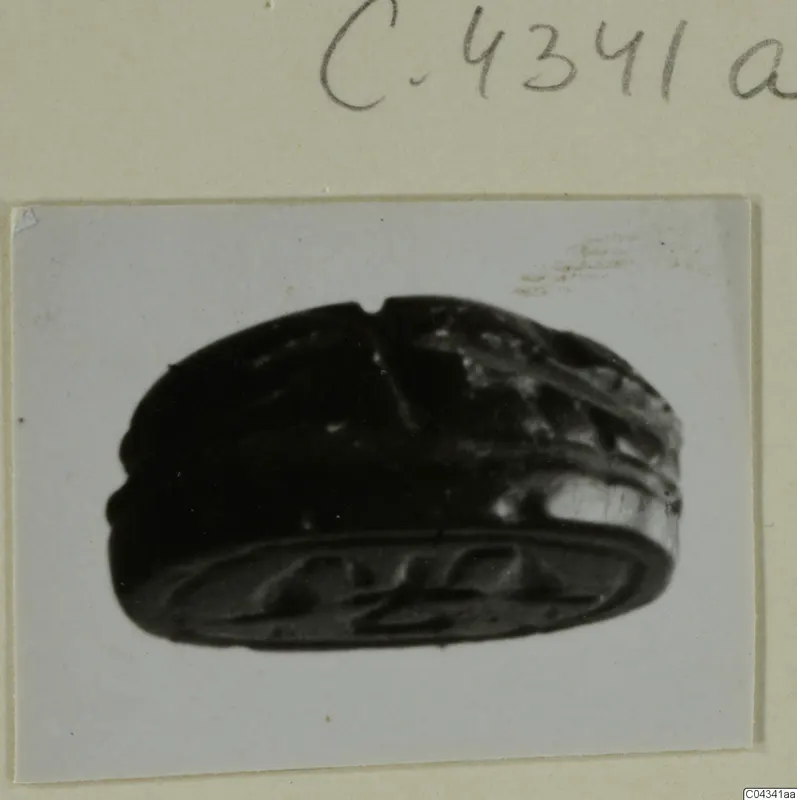 Scarab seal with an incised oval base, shown on its side
