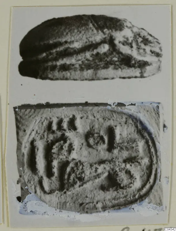 Scarab seal in two views: domed back above, flat base with incised marks below, on a mounted card.