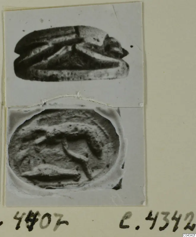 Scarab-shaped stone seal seen from the side, with its engraved oval base photographed below, mounted on a photo card