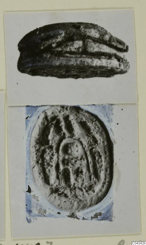 Two views of a stone scarab: the segmented domed back above and the flat base with a carved design below.