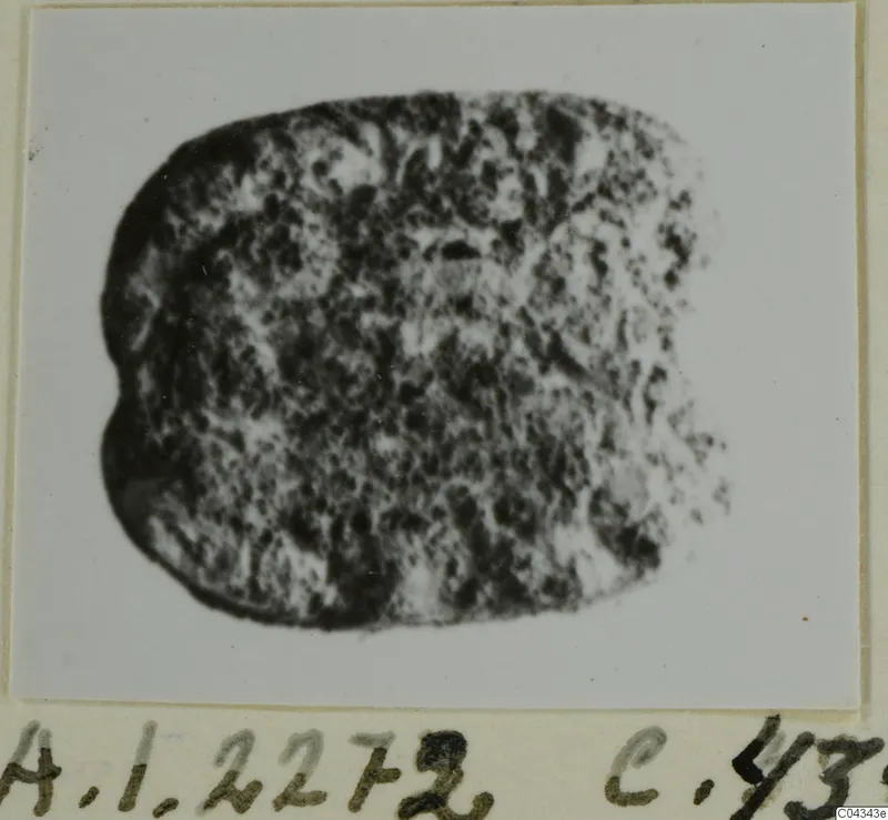 Glyptic find from Ayia Irini: a small rounded-rectangular stone seal or gem with a mottled surface