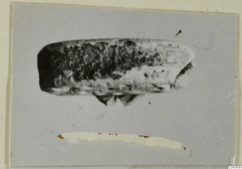 Blurred photograph of a small elongated stone object from Ayia Irini, possibly a scarab