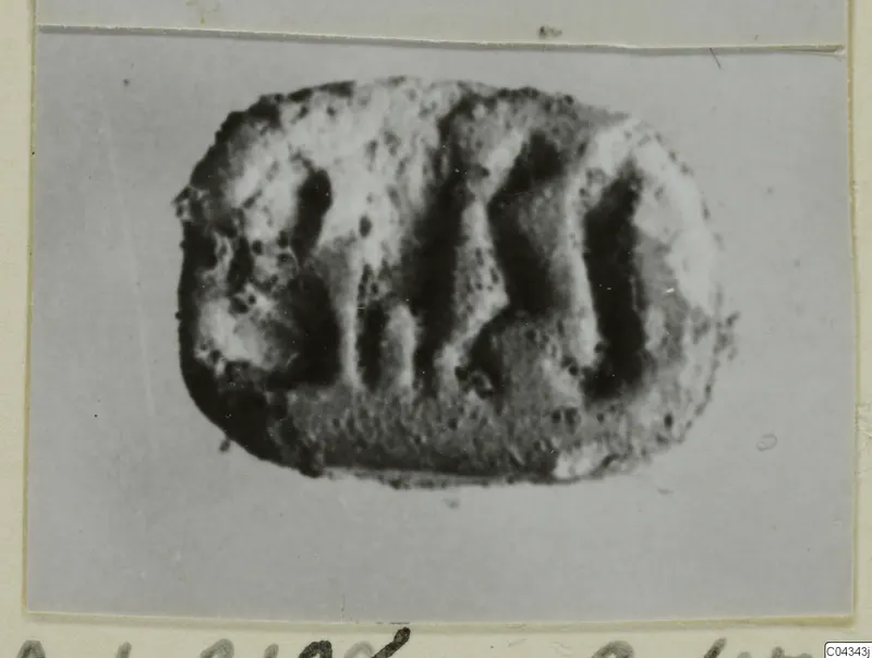 Engraved stone seal with deep vertical grooves, from Ayia Irini