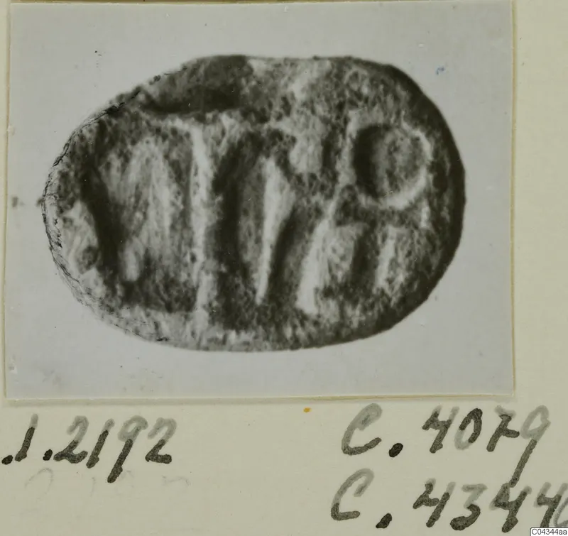 Oval seal or gem with an incised design, photographed and mounted on a card with handwritten numbers