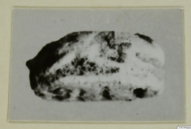 Glyptic find from Ayia Irini: a small stone object, photographed on a grey card mount