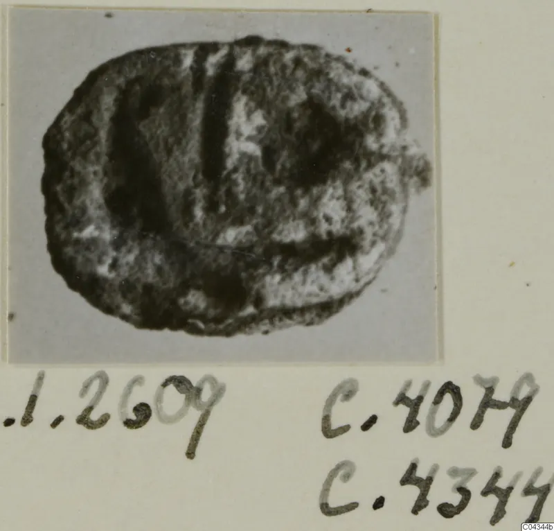 Small oval seal or gem with incised lines, photographed on a card mount with handwritten number labels below