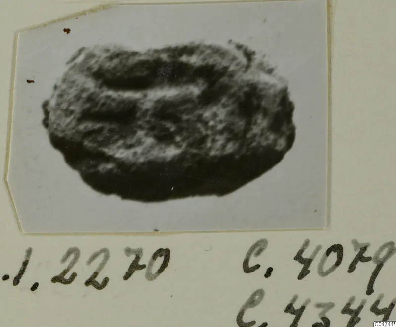 Oval stone seal or gem, shown in a small photograph mounted on a card.