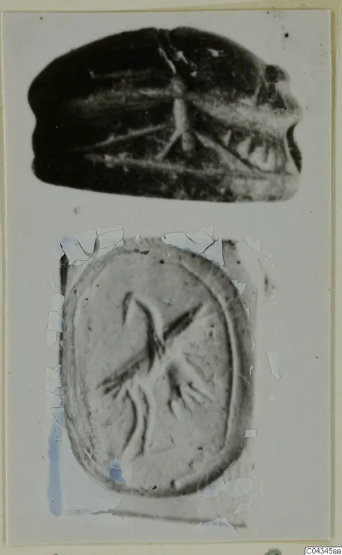 Scarab-shaped seal and the engraved face of a seal stone with a bird, two photographs on one card mount