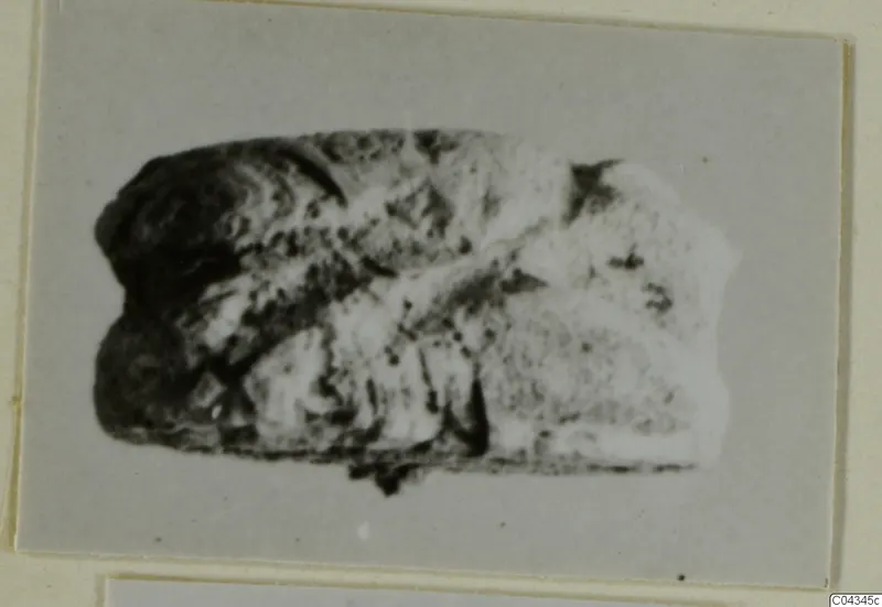 Stone scarab from Ayia Irini, shown on a grey card mount.