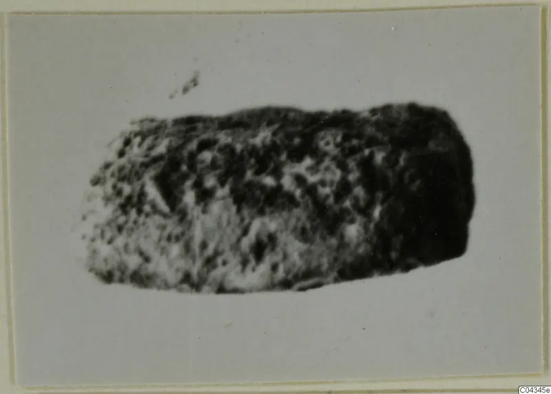 Small dark cylindrical object with a pitted surface, shown horizontally, Ayia Irini glyptic