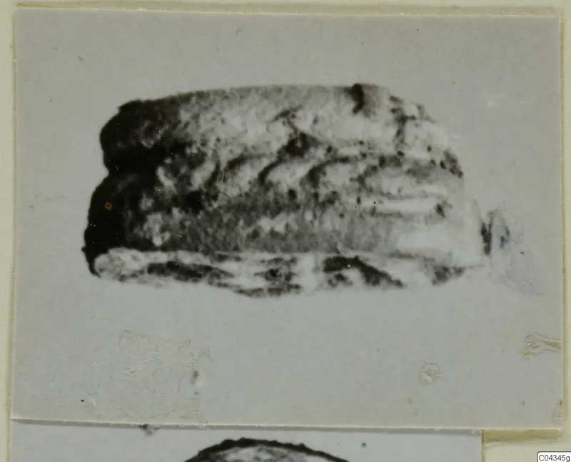 Blurred photograph of a small oblong stone object, possibly a scarab, from Ayia Irini, on a mounted print.