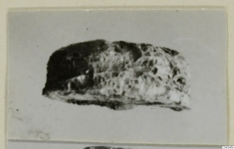Small stone object from Ayia Irini, possibly a scarab, photographed on a grey card