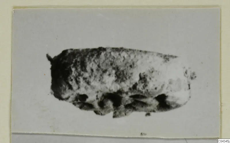 Blurred photograph of a small rounded object, possibly a seal or gem, from Ayia Irini