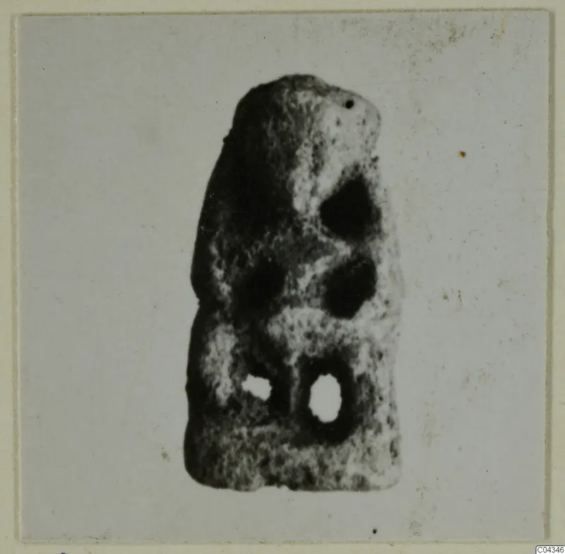 Small upright object with holes, shown on a pale card mount