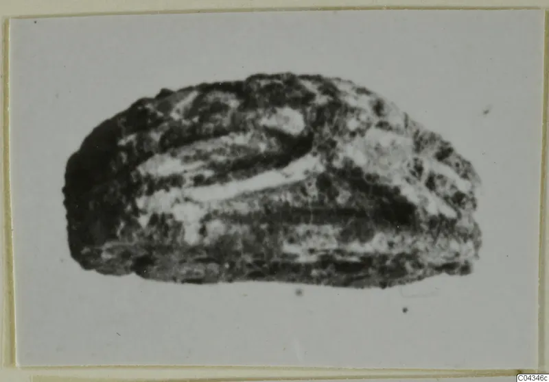 Small stone seal or scarab from Ayia Irini, with a domed back and banded surface