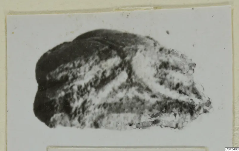 Small dark stone object with pale streaked surface and broken edges, from Ayia Irini