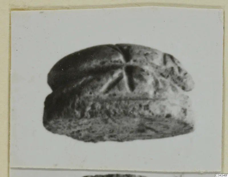 Scarab-shaped stone seal from Ayia Irini, shown in a photograph