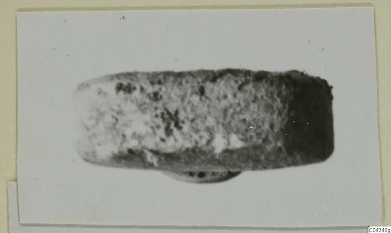 Glyptic from Ayia Irini: a small elongated stone object with rounded ends