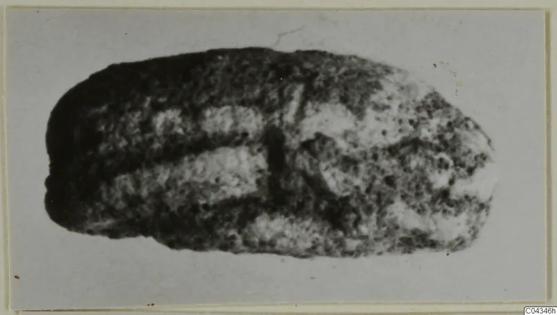 Stone scarab-type seal from Ayia Irini, shown close up on a card mount