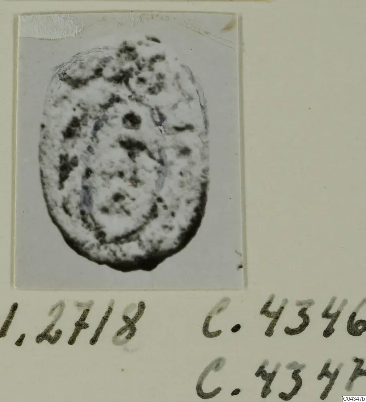 Oval seal or gem with a pale surface and dark speckled patches, shown in a photograph pasted on a card mount