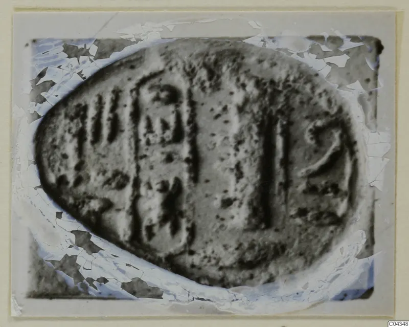 Oval glyptic object with incised signs and motifs, photographed close up