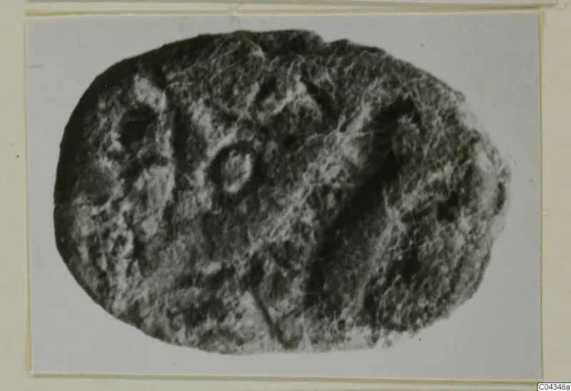 Oval glyptic object from Ayia Irini with incised decoration, photographed on a card mount.