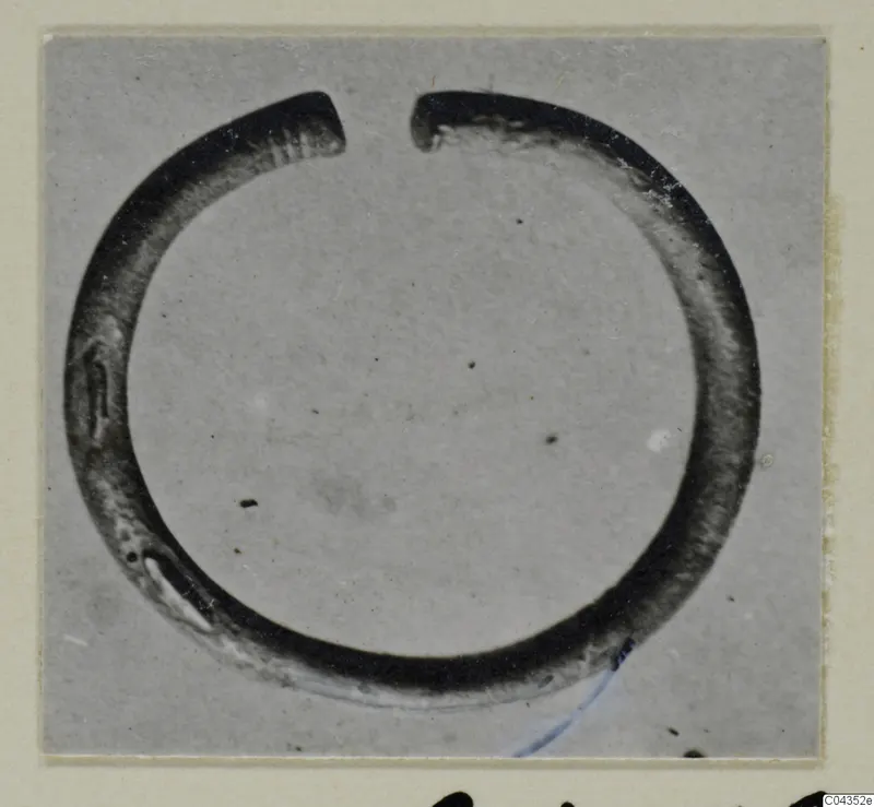 Open silver ring with a gap at the top, shown in a photograph mounted on a cream card