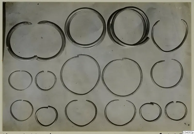 Silver rings from Vouni: about fifteen open hoops of varying size arranged in three rows