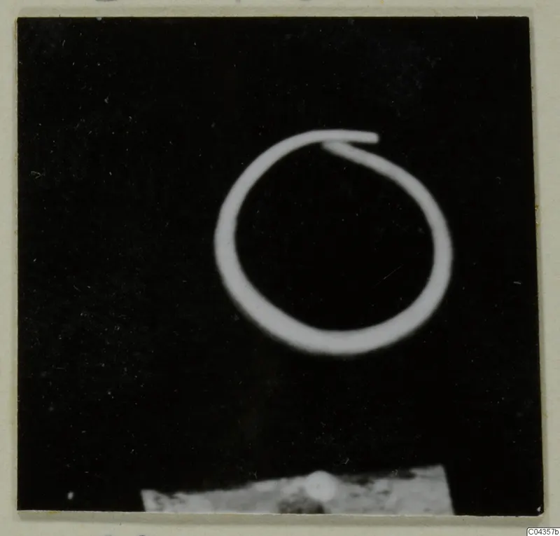 Single thin wire ring with overlapping ends against a black background, with a pale base along the bottom edge