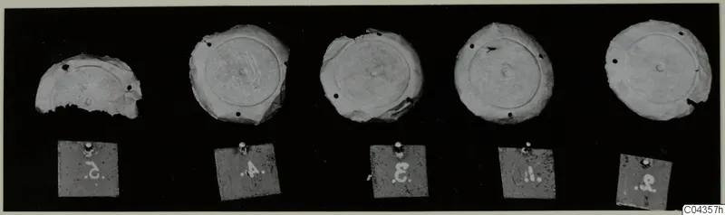 Five round flat jewellery discs with raised rims, each above a numbered label, from the Kastros tombs at Lapithos