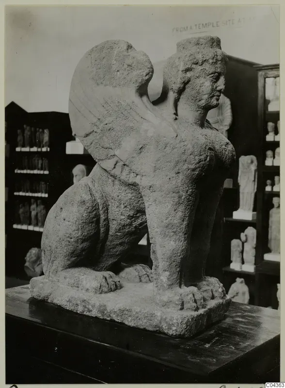 Stone sculpture of a seated winged sphinx with a human head and raised wings, shown on a plinth in a display room.