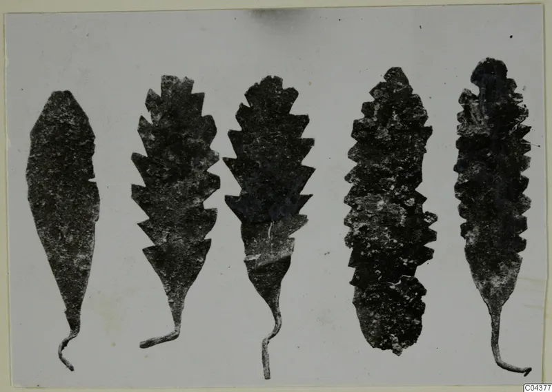 Five leaf-shaped metal ornaments with sawtooth edges and thin curved tails, shown in a row.