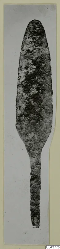 Corroded leaf-shaped metal blade with a long narrow tang, photographed upright on a card mount.