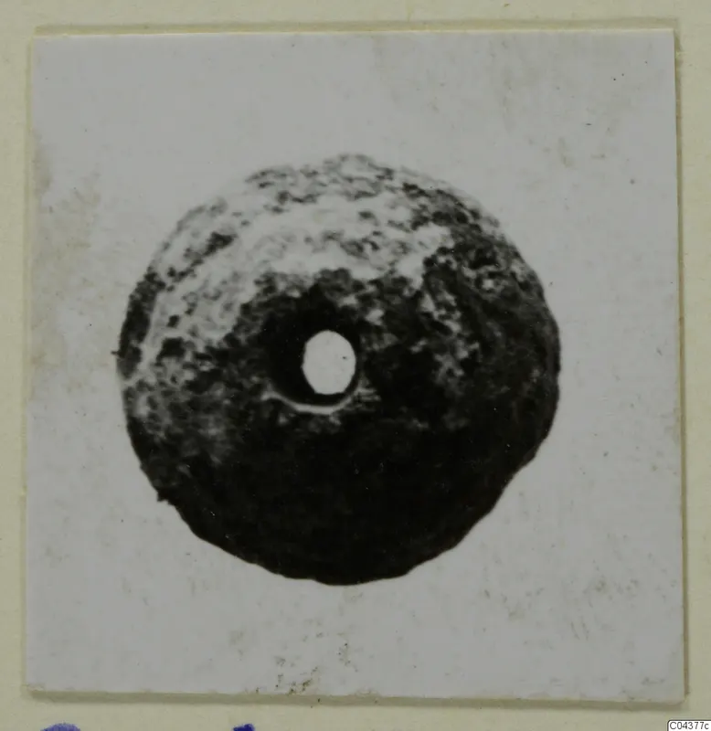Flat round perforated object, dark with lighter mottled patches, photographed on a white card