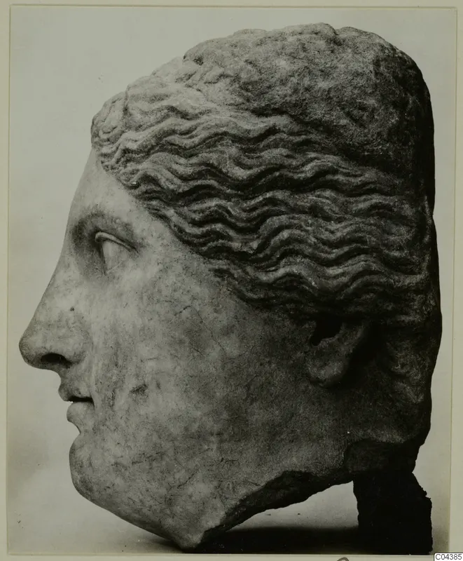 Marble head in profile facing left, with wavy hair swept back and a broken base at the neck.