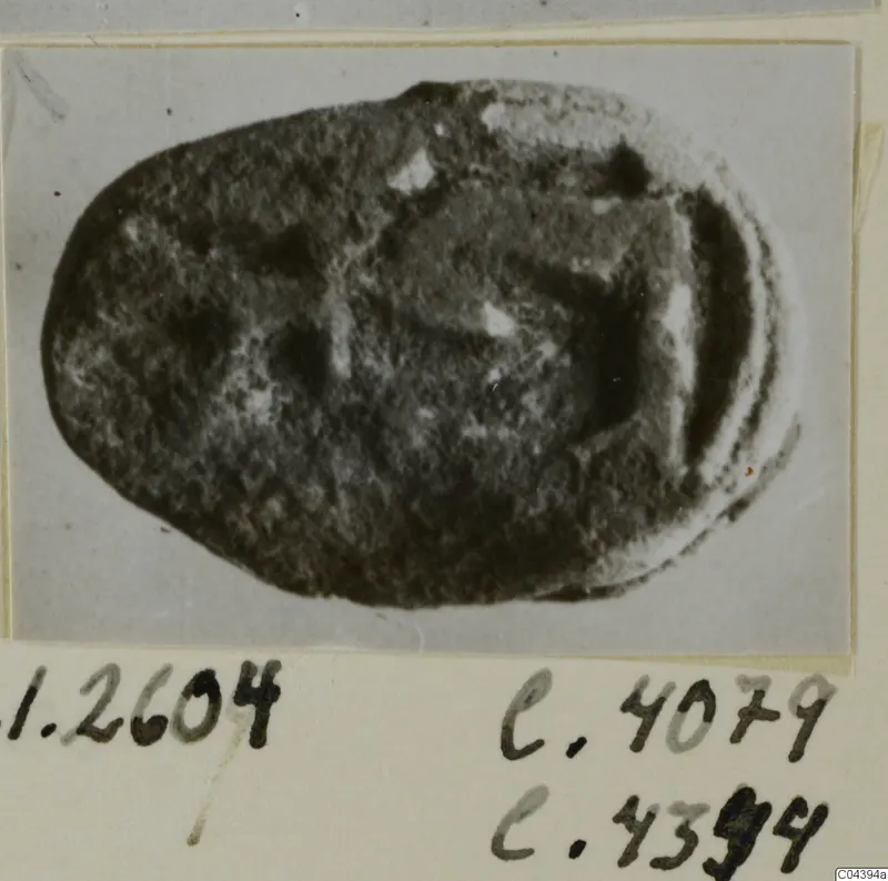 Oval dark stone seal or gem with a worn mottled surface, photographed on a card mount with handwritten labels.