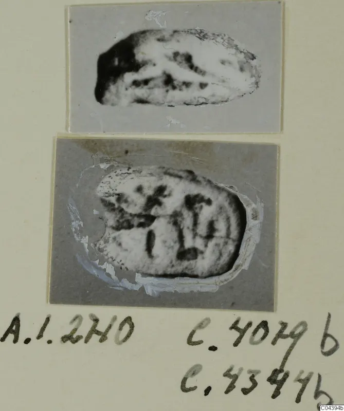 Two photographs of small oval seal-like stone objects mounted on a card, with handwritten number labels below.