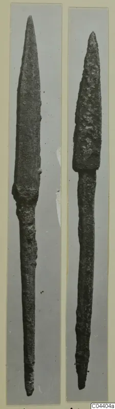 Two bronze spearheads with long tangs, photographed side by side on grey mounts.