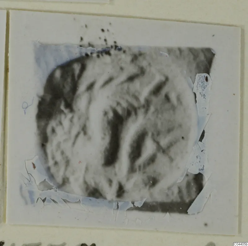 Blurred photograph of an oval stone object, probably a glyptic piece, mounted on a card
