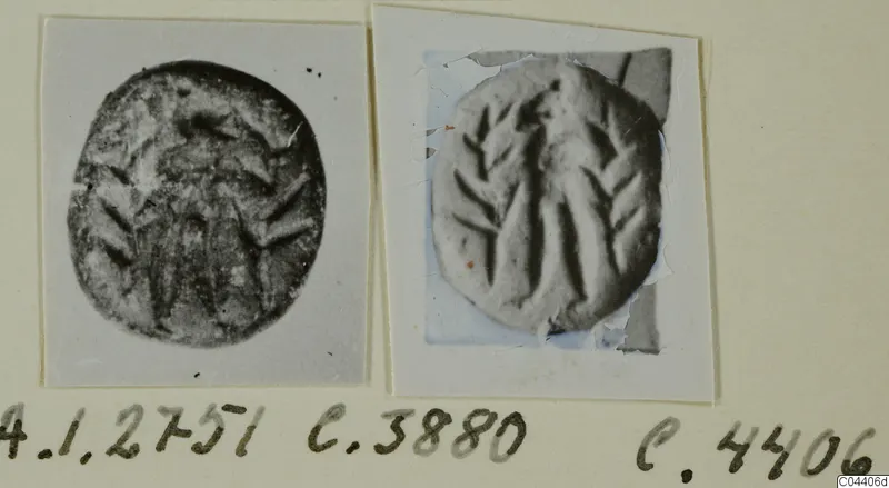 Two photographs of stone seals mounted side by side on a card, with handwritten find numbers below.