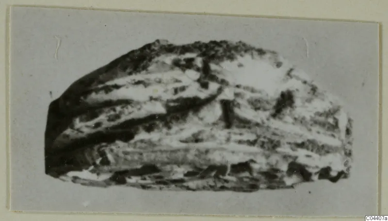Irregular banded stone fragment recorded as glyptic from Ayia Irini, seals and gems